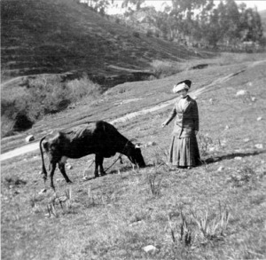 Glen Park Canyon, ca. 1909